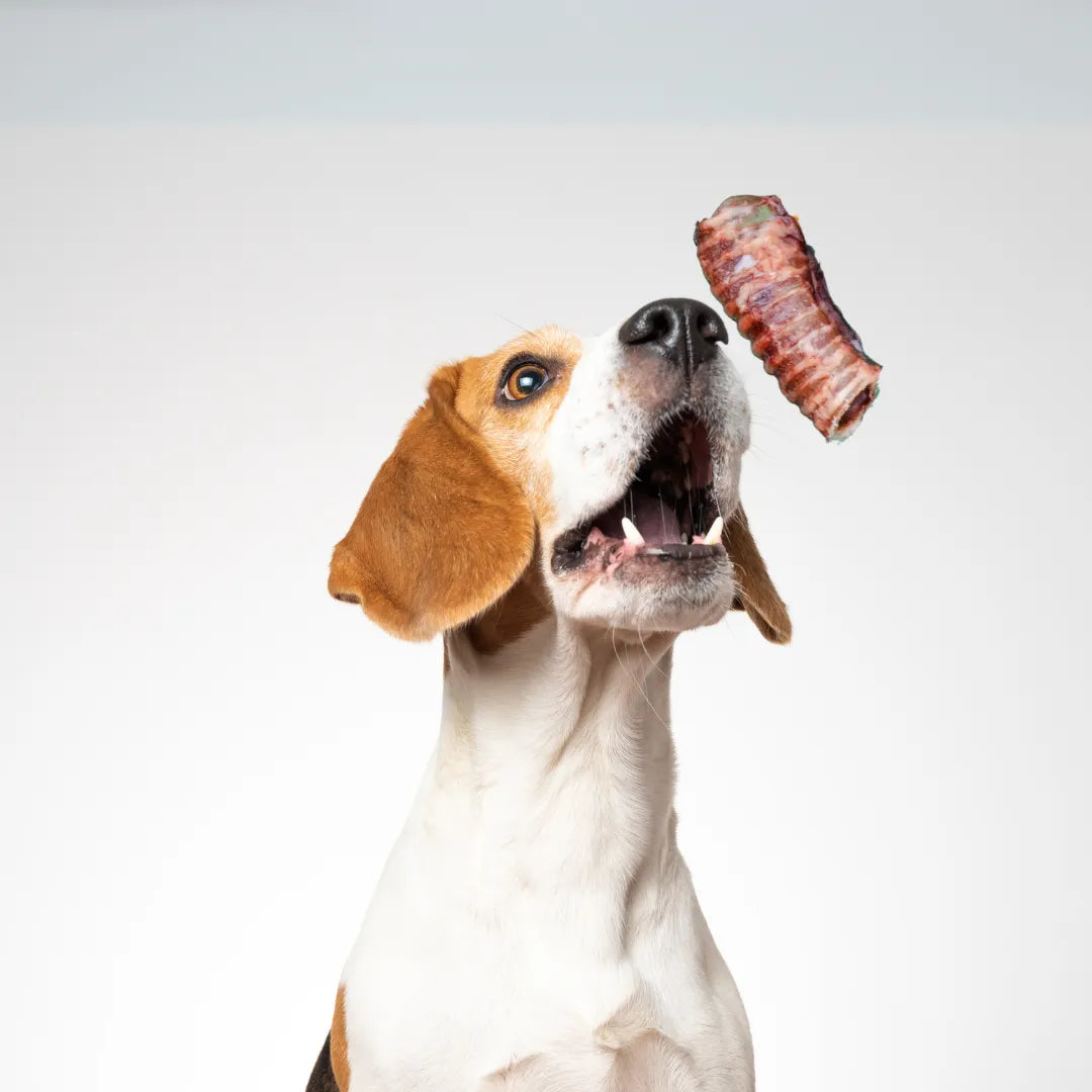 Naturalne smakołyki dla psów. Zdrowa alternatywa dla tradycyjnych przysmaków.