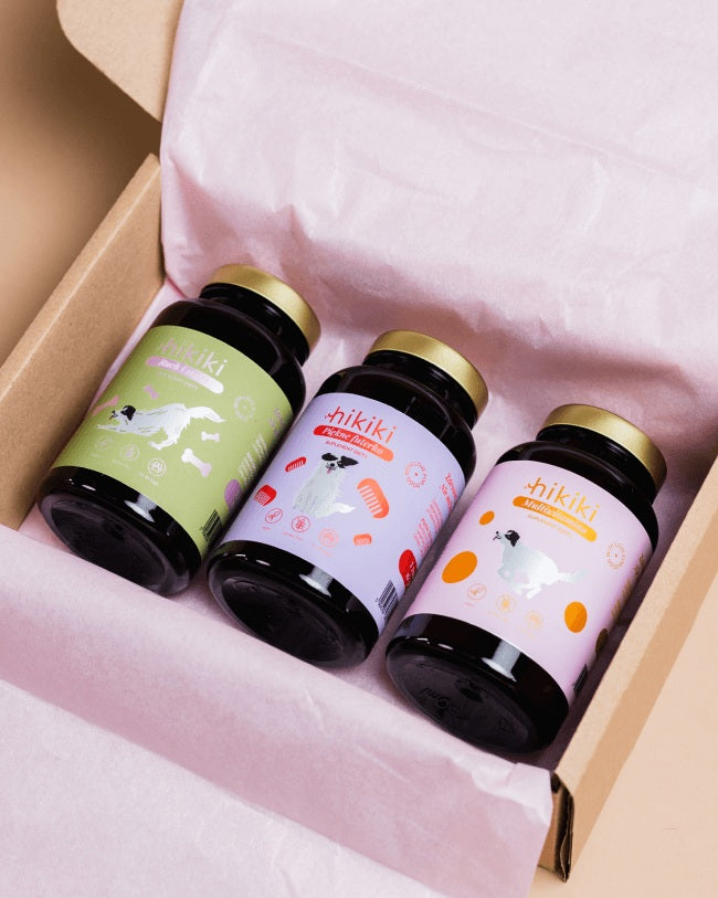 Suplementy diety dla psa rasy Cavalier King Charles Spaniel – co naprawdę warto podawać?