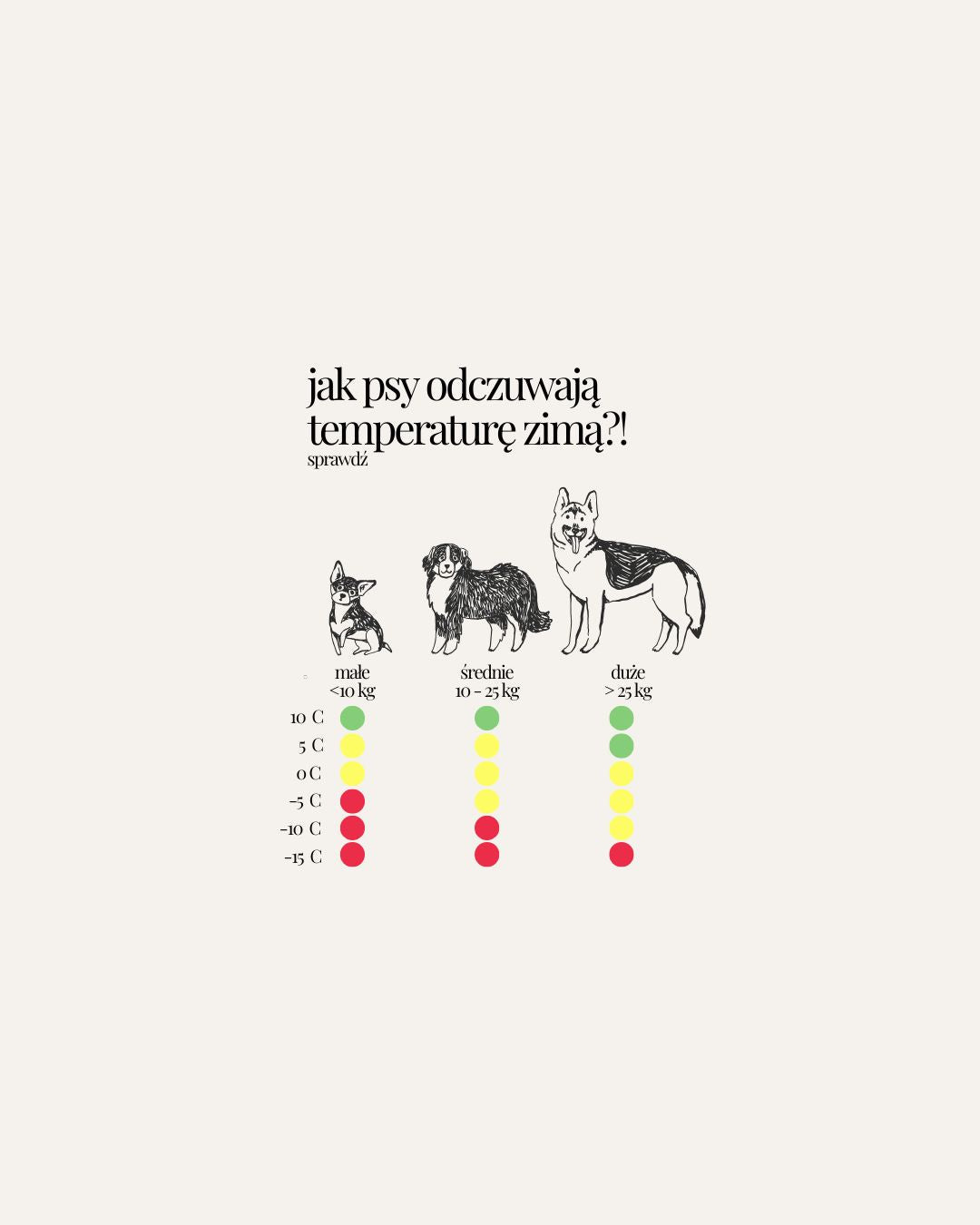 Jak psy odczuwają temperaturę zimą?